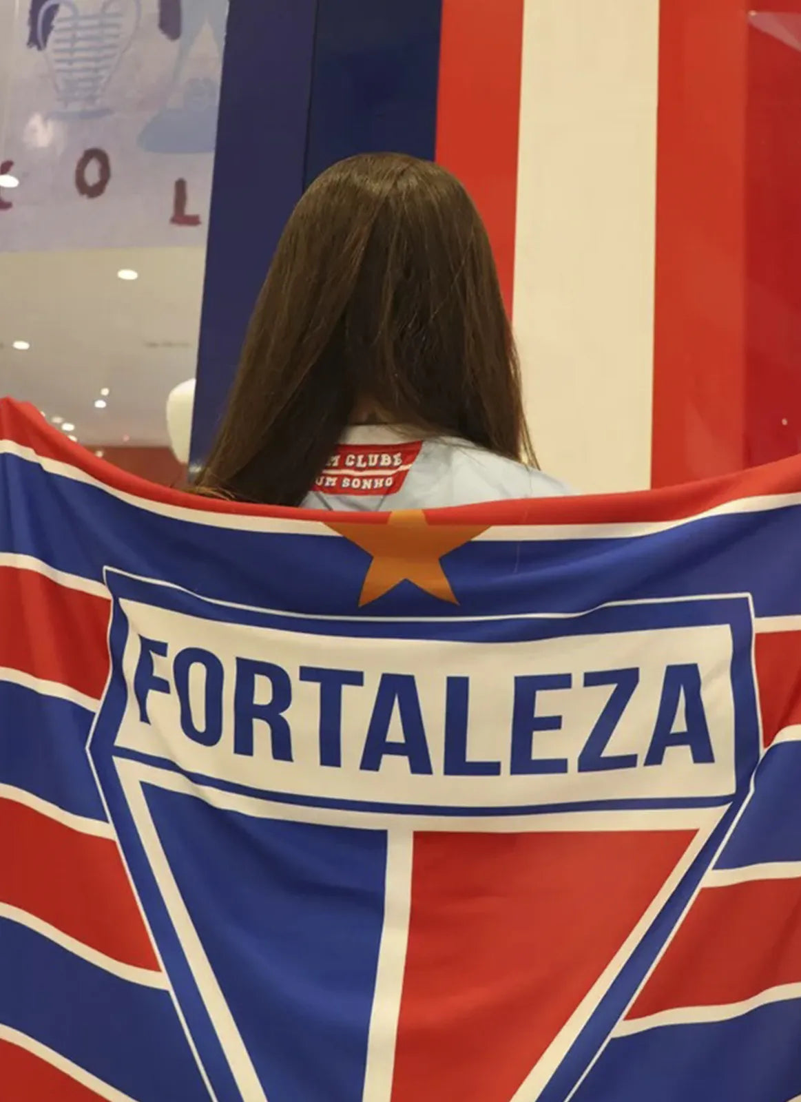 Bandeira FEC